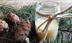 Słoik ze smalcem, gałązki świerku i szyszki na drewnianym tle.