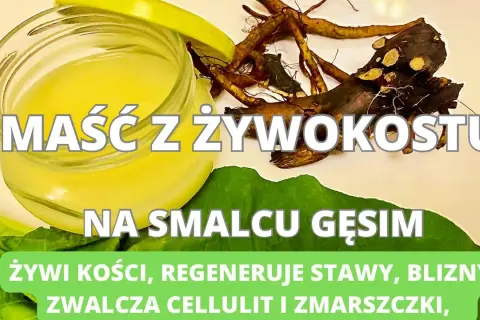 Jak zrobić maść z żywokostu na smalcu - łatwy przepis na zdrowie