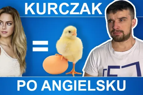Jak jest po angielsku kurczak? Poznaj tłumaczenie i więcej!