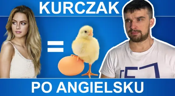Jak jest po angielsku kurczak? Poznaj tłumaczenie i więcej!